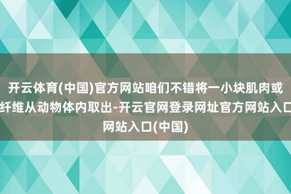 开云体育(中国)官方网站咱们不错将一小块肌肉或一根肌纤维从动物体内取出-开云官网登录网址官方网站入口(中国)