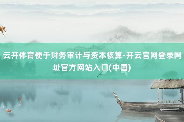 云开体育便于财务审计与资本核算-开云官网登录网址官方网站入口(中国)