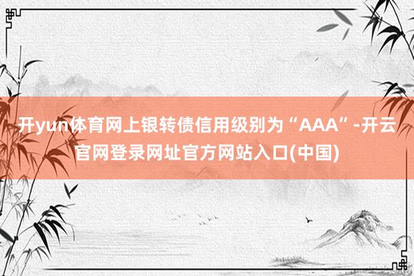 开yun体育网上银转债信用级别为“AAA”-开云官网登录网址官方网站入口(中国)